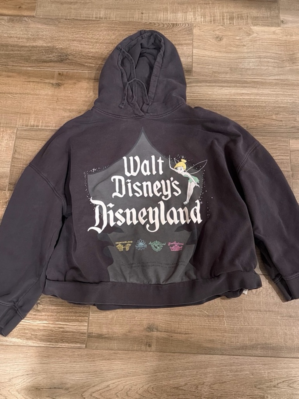 Disney Black Hoodie with Tinker Bell Disneyland Graphic